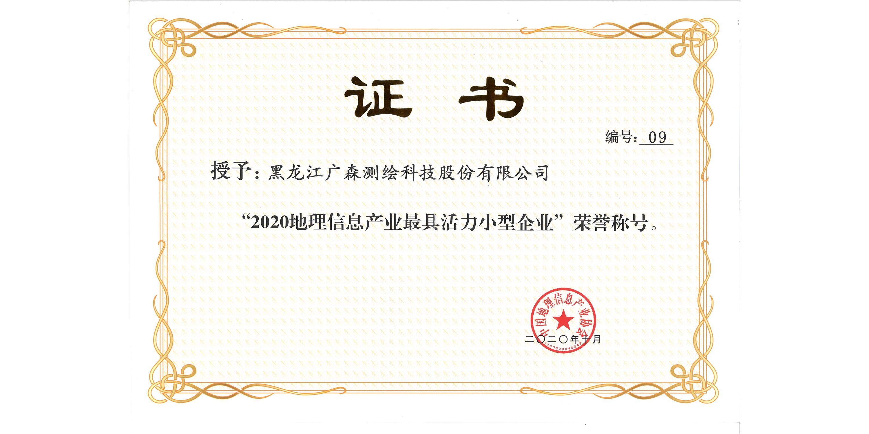 中国地理信息产业协会证书